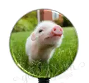 Baby Pig Retractable Badge Holder Reel, Cute Piglet Retractable Badge Reel G4273