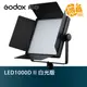 GODOX 神牛 LED1000D II 白光版 開年公司貨 LED燈 持續燈 補光燈 LED1000DII LED