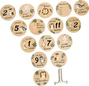 CRILSTYLEO Wooden Milestone Discs Baby Milestone Cards Set Birth Announcement Sign Monthly Baby Milestone Markers Baby Name Sign for Newborns
