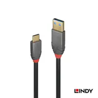 在飛比找蝦皮商城優惠-LINDY林帝ANTHRA USB3.2 Gen 2 Typ