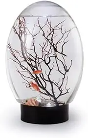 Transparency Mini Fish Tank Desktop Fish Tank Closed Amphibian Box Multipurpose Tank Feeding Small K5E4 Ecosystem Aquatic