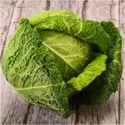 Cabbage - Savoy Green seeds