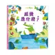 感覺是什麼？【英國Usborne科普翻翻書系列】