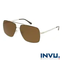 在飛比找momo購物網優惠-【INVU】來自瑞士簡約都會系列偏光太陽眼鏡(金 P1107