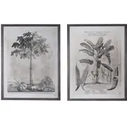 [Florabelle Living] Set 2 Grey Palm Print Grey Frame