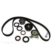 Bearing Wholesalers Timing Belt Kit - TB100