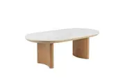 Raimon Furniture Bronya Rectangular Matte Ceramic Top Coffee Tea Table Natural/White