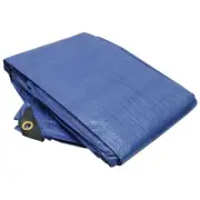 Roadpro RPTP-1012 10' X 12' Tarp Canvas Cargo Cover 4-Mil 10' X 12' Rain Tarp