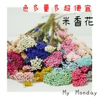 在飛比找蝦皮購物優惠-My Monday 衝評價 米香花 【永生米香花 】永生 花