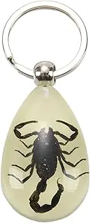Hundnsney Glow-in-The-Dark Real Insect Keychain (Black)