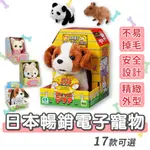 [幾米兒童圖書] 日本暢銷電子寵物 IWAYA甜甜屋 日本暢銷電子寵物 育兒安撫神器 有聲玩具 有聲玩偶 寵物玩偶 狗狗玩偶 娃娃 有聲娃娃 小狗娃娃 安全檢驗認證 玩具