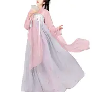 Women's Chinese Hanfu Qixiong Ruqun Sheer Top Tube Dress Outfit Tang Dynasty