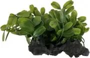 Gingerbread Pet Supply Aquatic Plastic Plant on Weighted base