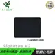 RAZER 雷蛇 Gigantus V2 巨甲蟲滑鼠墊 電競滑鼠墊 M /細緻編織/PCHot