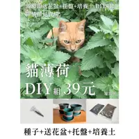 在飛比找蝦皮購物優惠-貓薄荷種子 貓草種子 DIY組（※ 購買即送花盆/托盤/培養