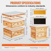20 Frame Cedar Wood Bee Hive Starter Kit with Acrylic Windows for Beginners and