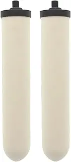 Doulton W9123053 UltraCarb 10 Inch Ceramic Candle Filter Cartridge (2 Pack) 2-Pack White