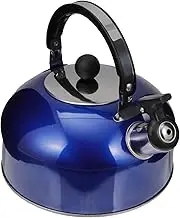 OFFSCH Kettle Carafe for Induction Gas Stoves Pitcher with Comfortable Handle for Tea Other Hot Beverages