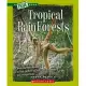 Tropical Rain Forests