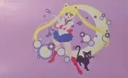 Toonami - Sailor Moon 3 Credit Card Skin Cover - Wrap Decal Pre-Cut Sticker