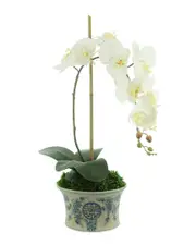 Creative Displays Orchid Arranged In Decorative Ceramic Pot