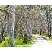 Your Gateway To An Unforgettable Holiday Experience In The Stunning Snowy Mountains!