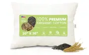 Multi Grain King Pillow - 20" x 36" - Organic Cotton Zippered Shell with 1 Si...
