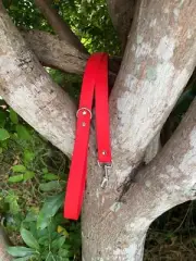 Biothane Candy Red Lead 1.5M