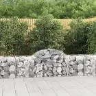 Gabion Baskets Arched Retaining Walls Mesh Cage 2 pcs Galvanised Iron vidaXL