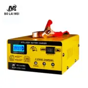 6V 12V Smart Battery Charger Pulse repair activation motorcycle car battery