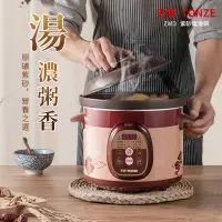 在飛比找蝦皮購物優惠-【TONZE 天際】燉鍋 電燉鍋 煲湯鍋 燉煮鍋 紫砂鍋 陶