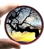 UV滤光镜头49mm 52mm 55mm 58mm 62mm 67mm 72mm 77mm适用于单反相机 Optical (Size : 67mm, Color : MCUV Filter)