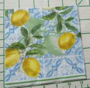 Two Decorative Cocktail Napkins for Decoupage "Citrus Limon"