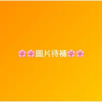 在飛比找蝦皮購物優惠-ROSE IS A ROSE 零著感蕾絲無痕內褲 3色共3件