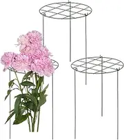 Trellis for Potted Plants - Stable Iron Garden Trellis - Reusable Gardening Supplies for Potted Plants Planter Propagation Flower Raised Vegetables Fruit Roses