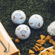 Callaway Chrome Tour Let the Big Dog Eat – Golden Retriever Golf Balls 3 Balls