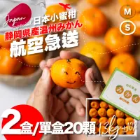 在飛比找momo購物網優惠-【果樹寶石】日本靜岡溫州小蜜柑20顆x2盒（約1.3公斤/盒