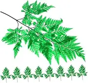 Elegant Dried Fern Leaves 10 Leaf Bouquet Plant Model for Photography Indoor Plant Ornament Decorative