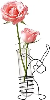 Dormercy Test Tube Plant Terrarium with Metal Holder, Dancer Desktop Glass Propagation Station for Office Home Decoration