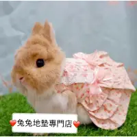 在飛比找蝦皮商城精選優惠-「兔兔地墊專門店」🐰胸背衣 牽繩衣 寵物衣服 兔子洋裝