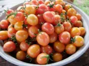 Tomato, Sunrise Bumble Bee - Heirloom Vegetable by Life-Force Seeds Australia