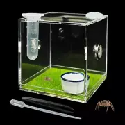 Acrylic Jumping Spider Enclosure Spider Terrarium Accessories with Bowls Tong...