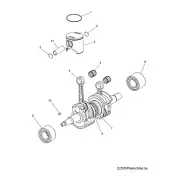 Polaris Piston Kit, Genuine OEM Part 2203988, Qty 1