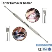 Dental Teeth Cavity Cleaner Plaque Calculus Tartar Remover Endodontic Instrument