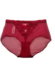 Victoria's Secret Rare Red Mesh Vtg 2003 Corset Ribbon Back Hugh Waist Panties