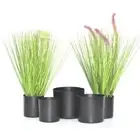 Concise Plastic Black Succulent Box Plant Pot Planter Flower Pots