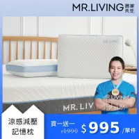 在飛比找momo購物網優惠-【MR. LIVING 居家先生】涼感減壓記憶枕-60*40