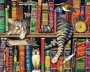 TUMOVO Paint by Numbers for Adults, DIY Oil Painting Charles Wysocki Adult Paint by Numbers Kits on Canvas Wall Decor, Frederick The Literate Painting Kits for Kids, Cats & Books - 16"x20"