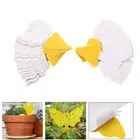 Fungus Gnat Killer Trap use for Indoor Outdoor 50pcs Sticky Fruit Fly Traps
