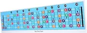 WESIEVYA Bass Guitar Chord Practice Chart Poster Beginner Learning Supply with Diagrams for Easy Practice Familiarity for Bass Guitar Enthusiasts